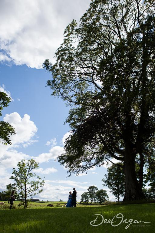 Galway Glamping Hotel Tuam Buitenkant foto
