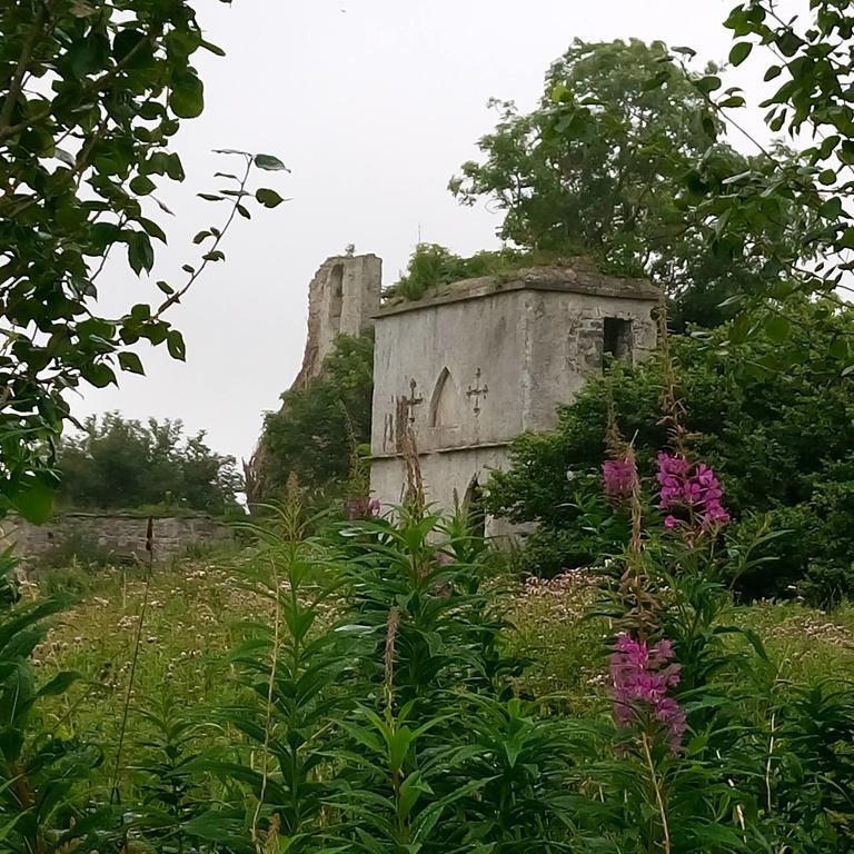 Galway Glamping Hotel Tuam Buitenkant foto