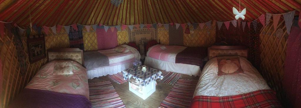 Galway Glamping Hotel Tuam Buitenkant foto